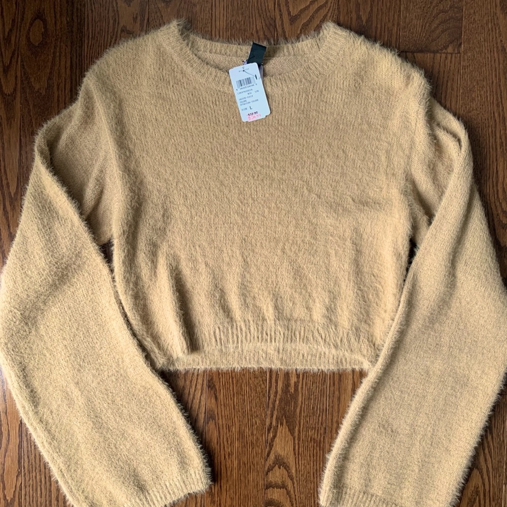 Windsor tan fuzzy cropped sweater